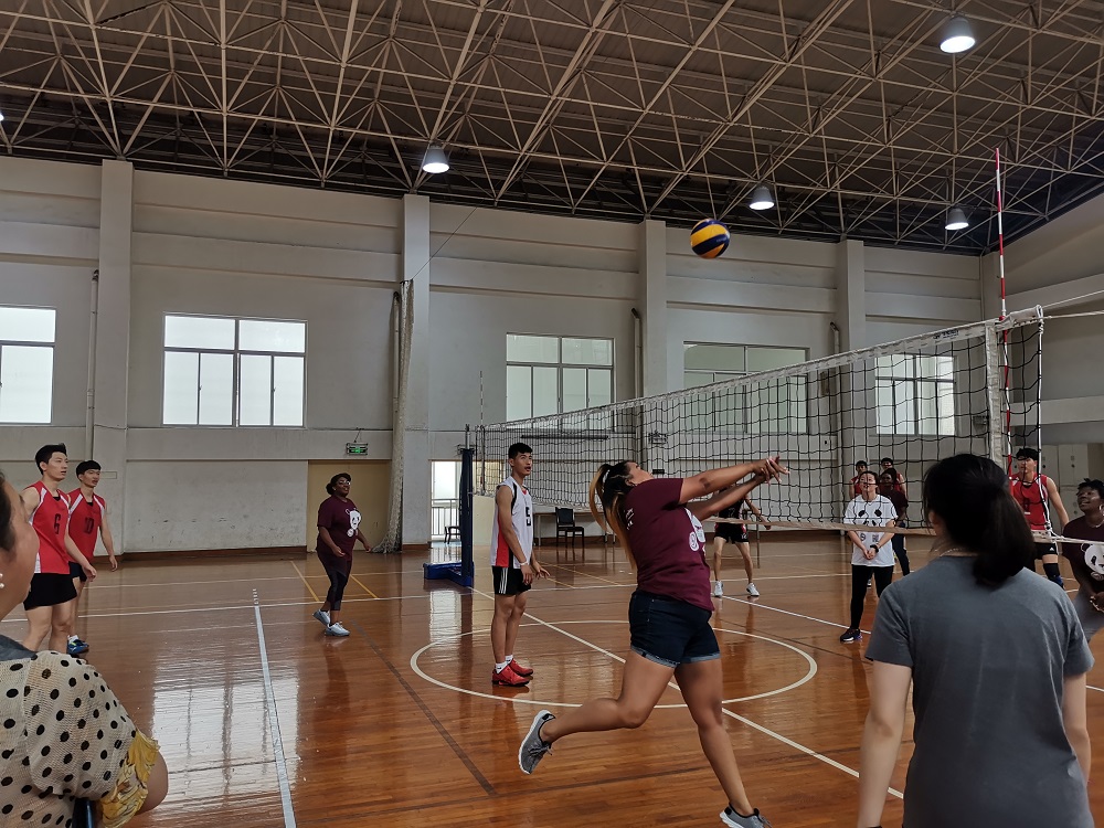 IMG_20190617_110418.jpg
